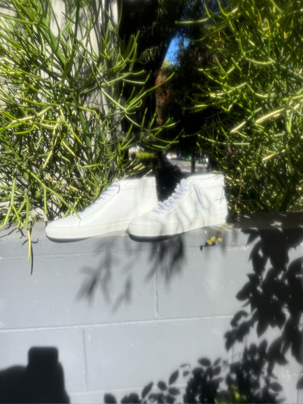 NEW Common Projects Men’s Achilles Hitop Leather Sneakers (White, M-11US/44IT) - Picture 11 of 12